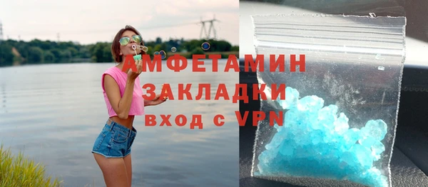 спиды Богородицк