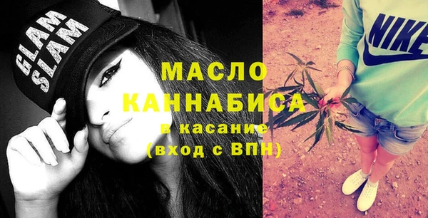 спиды Богородицк