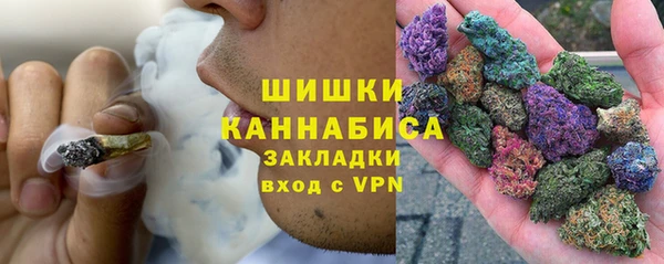 спиды Богородицк