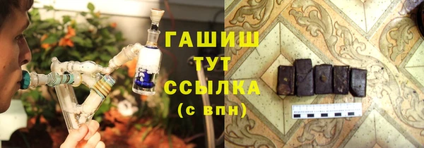 спиды Богородицк
